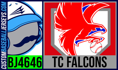 Twin City Falcons