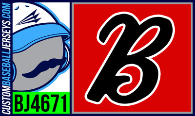 Wheaton Briarcliffe Blazers