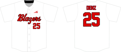 Wheaton Briarcliffe Blazers  Custom NanoDri Baseball Jersey #J6A