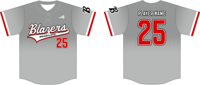 Wheaton Briarcliffe Blazers  Custom NanoDri Baseball Jersey #J2G