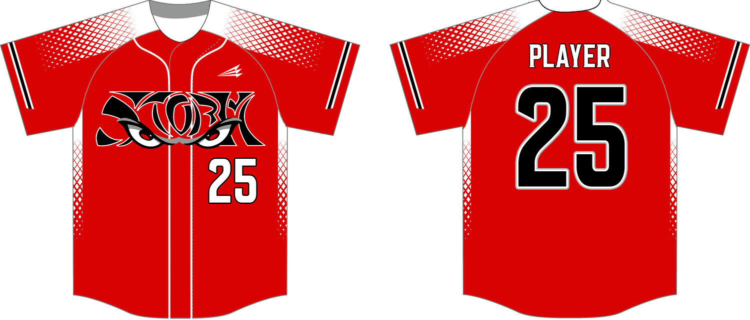 Littlestown Storm HexaFlex Custom Baseball Jersey #J3B