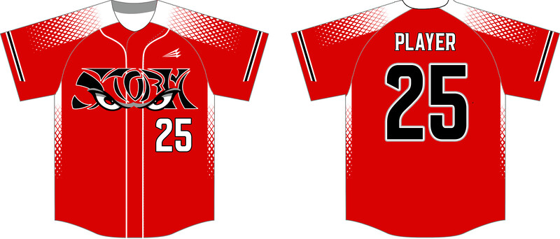 Littlestown Storm HexaFlex Custom Baseball Jersey #J3B