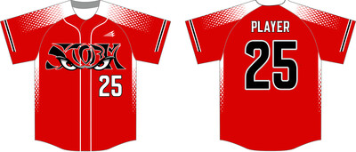 Littlestown Storm HexaFlex Custom Baseball Jersey #J3B