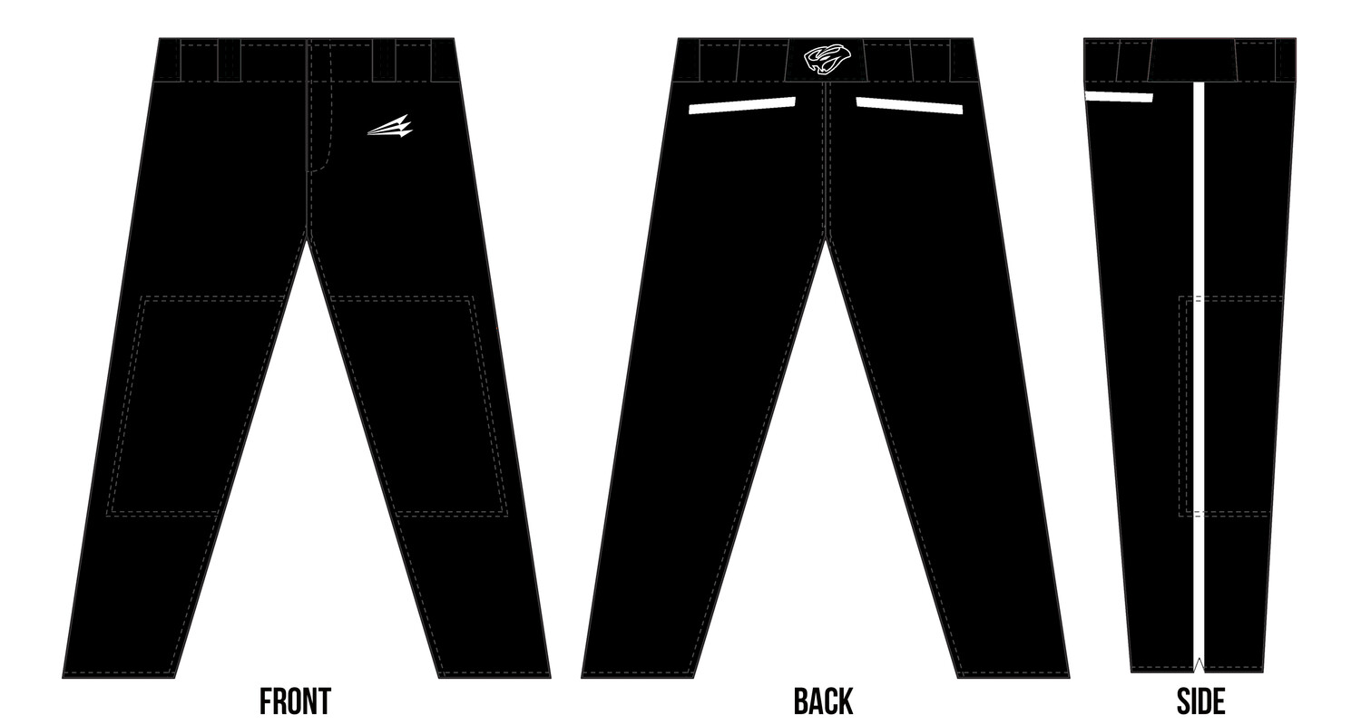 High Desert Vipers Baseball Club Custom Stacheman Elite Long Baseball Pants  #BP4