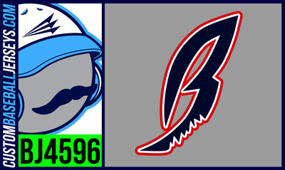 St. Petersburg Barracudas