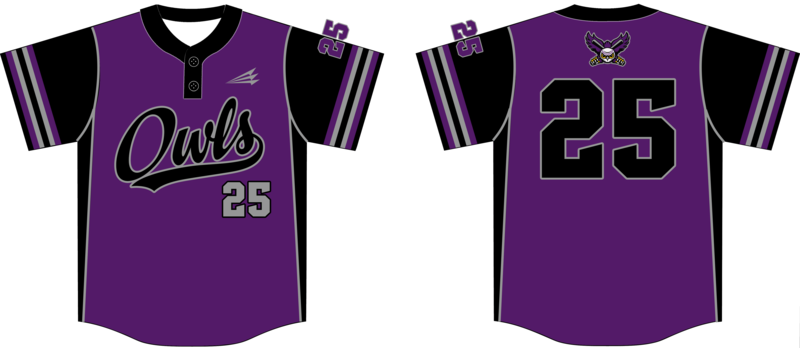 Chicago Owls Custom NanoDri Baseball Jersey #J1p