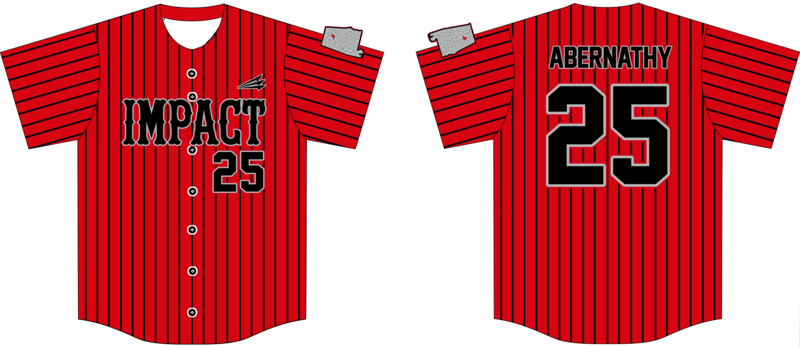 Blount Impact Dirtdawgz Custom HexaFlex Baseball Jersey #J3D