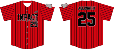 Blount Impact Dirtdawgz Custom HexaFlex Baseball Jersey #J3D