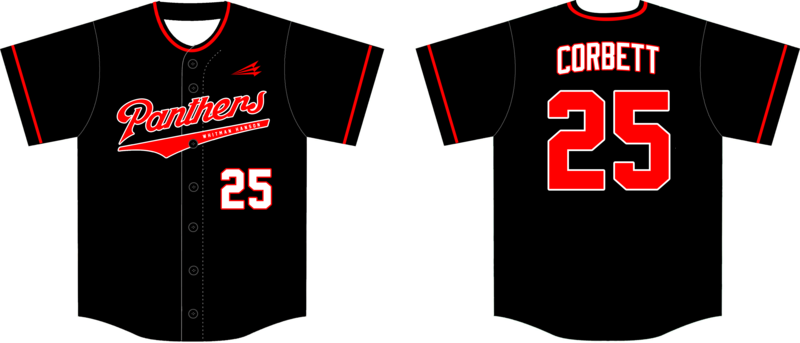 Whitman-Hanson Panthers Custom HexaFlex Baseball Jersey #J4C