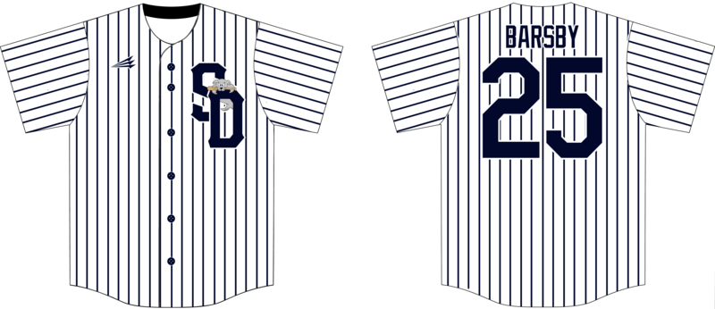 South Coast Sea Dogs Custom HexaFlex Baseball Jersey #J4