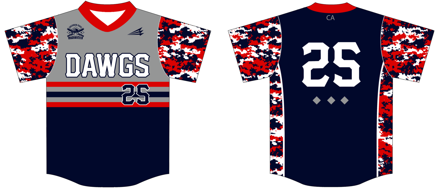Diamond Dawgs Custom Pro-Premier Baseball Jersey #J1C