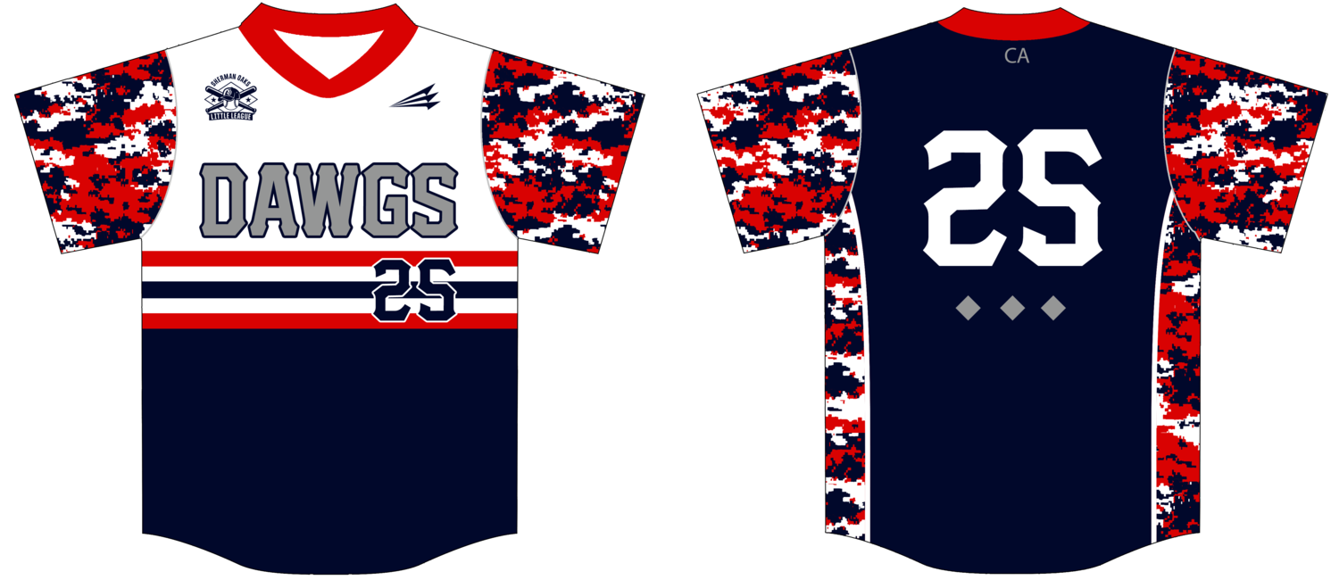 Diamond Dawgs Custom Pro-Premier Baseball Jersey #J2B