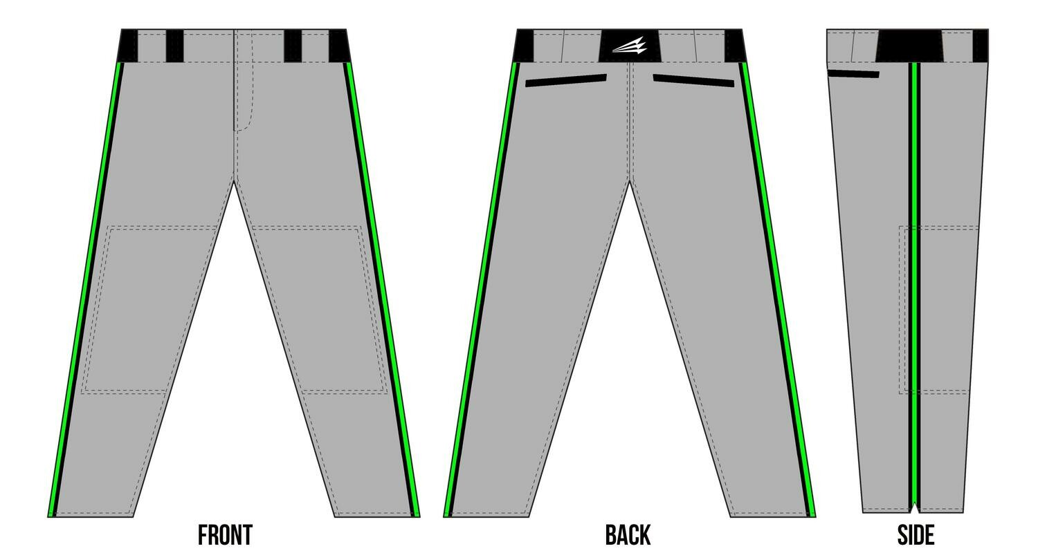 Carolina Bears Custom Baseball Pants Design #1b