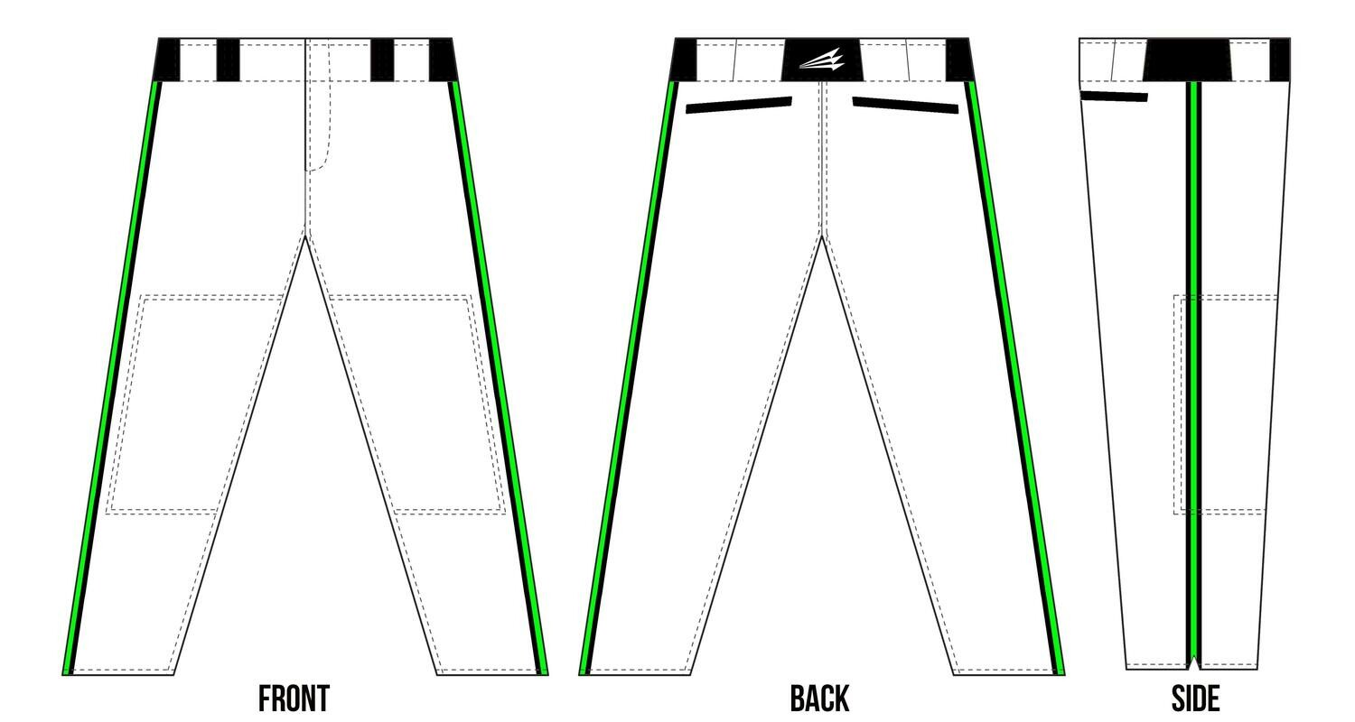 Carolina Bears Custom Baseball Pants Design #1a
