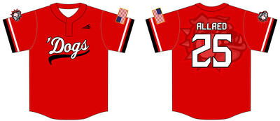 Muddogs Baseball Club Custom HexaFlex Baseball Jersey #J8