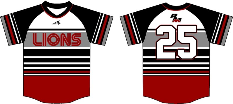 Mountain Lions Custom Baseball Jersey #2C
