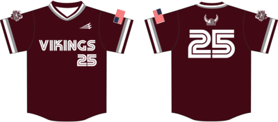 Valhalla Vikings Custom HexaFlex Baseball Jersey #J18d
