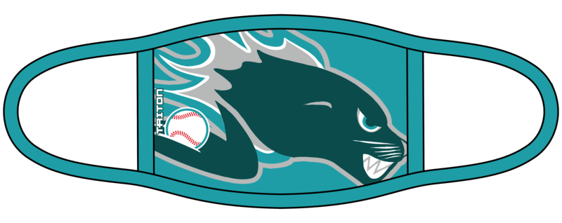 Doc Fords SeaDogs Custom Face Mask #FM3