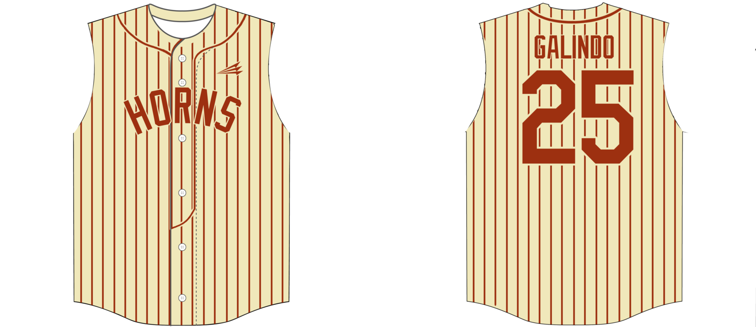 Austin Horns Custom NanoDri Baseball Jersey #J11B