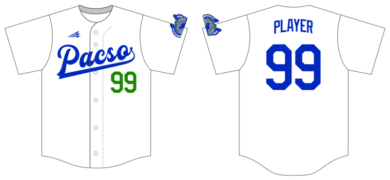 Pasco Thoroughbreds Custom NanoDri Baseball Jersey #J5B