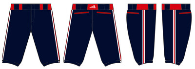 Bastrop Raptors Stacheman Elite Custom Knicker Baseball Pants #BP2C