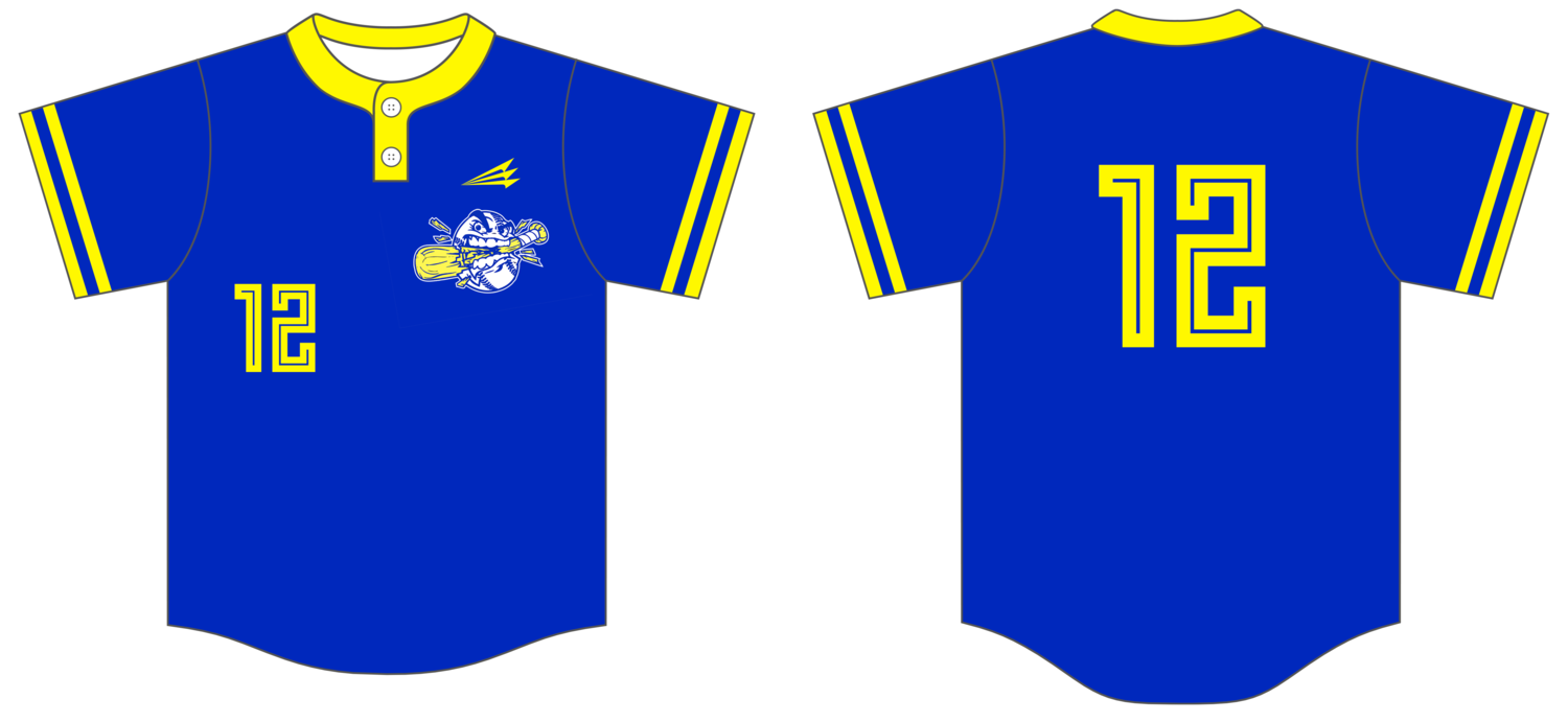 CHARLOTTE CRUSHERS Custom NanoDri Baseball Jersey #J6C