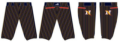 Nashville Naturals Stacheman Elite Custom Knicker Baseball Pants #BP1