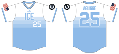 Sarasota Baseball Club Custom Hexaflex Baseball Jersey #J1