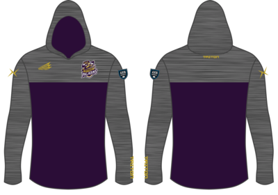 Baltimore Paladins Custom NanoHood #NH1