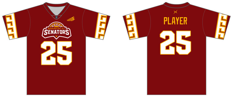 Washington D.C. Senators Custom HexaFlex ESport Jersey #J1