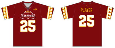 Washington D.C. Senators Custom HexaFlex ESport Jersey #J1