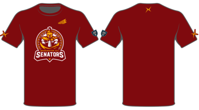 Washington D.C. Senators Custom HyperTee #HT1