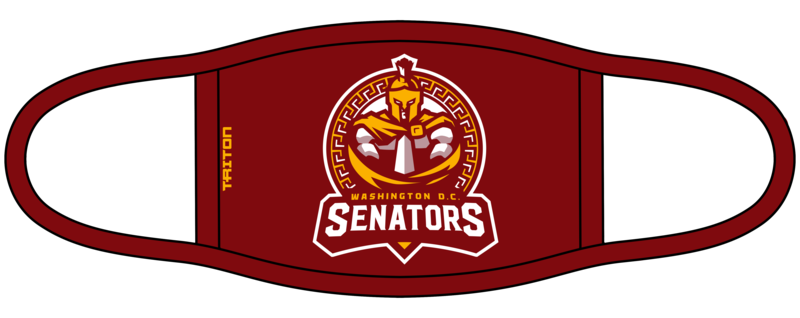 Washington D.C. Custom Face Mask #FM1