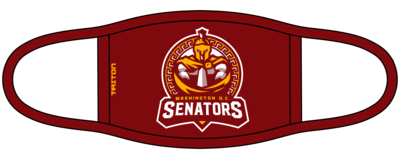 Washington D.C. Custom Face Mask #FM1