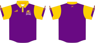 Minnesota Pride Custom HyperPolo #HP1