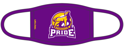Minnesota Pride Custom Face Mask #FM1