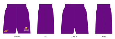 Minnesota Pride Custom Revolution Pocket Shorts #RV1