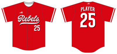 Carroll Rebels Custom NanoDri Baseball Jersey #J6B