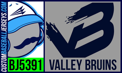 Valley Bruins
