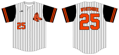 Artesia Pawsox Custom Hexaflex Baseball Jersey #J2