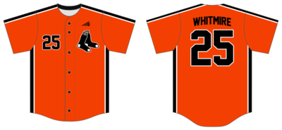 Artesia Pawsox Custom Hexaflex Baseball Jersey #J5