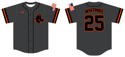 Artesia Pawsox Custom Hexaflex Baseball Jersey #J3