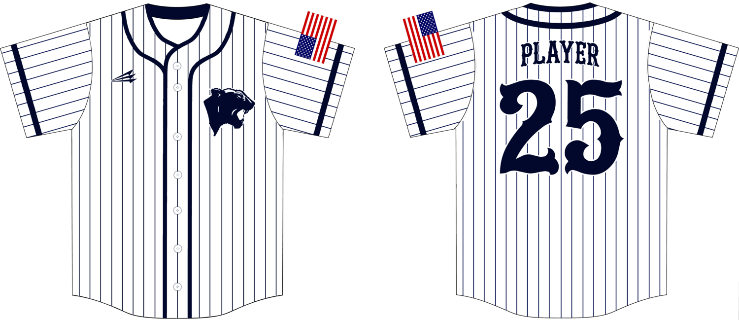 Oswego Panthers Custom HexaFlex Baseball Jersey #J7B
