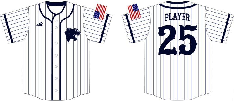 Oswego Panthers Custom HexaFlex Baseball Jersey #J7B
