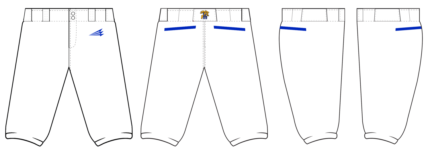 Livingston Academy Wildcats  Custom Kicker Baseball Pant #BP2