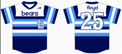 St. Louis Bears Custom Pro Premier Baseball Jersey #2i