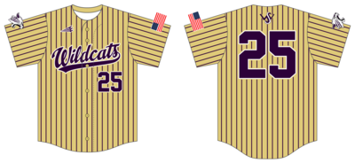 West Stokes Wildcats Custom HexaFlex Baseball Jersey #J2c
