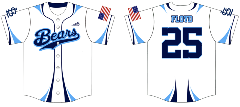 St. Louis Bears Custom Pro Premier Baseball Jersey #1