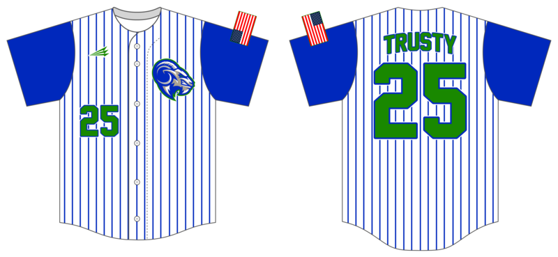 Bluegrass Yard Goats Custom HexaFlex Baseball Jersey #J5D