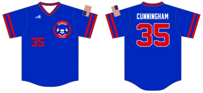 Mid-Michigan Cubs Custom HexaFlex Baseball Jersey #J1C